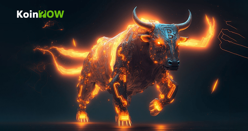Top Bitcoin traders are bullish near record highs. Could $80,000 be next?